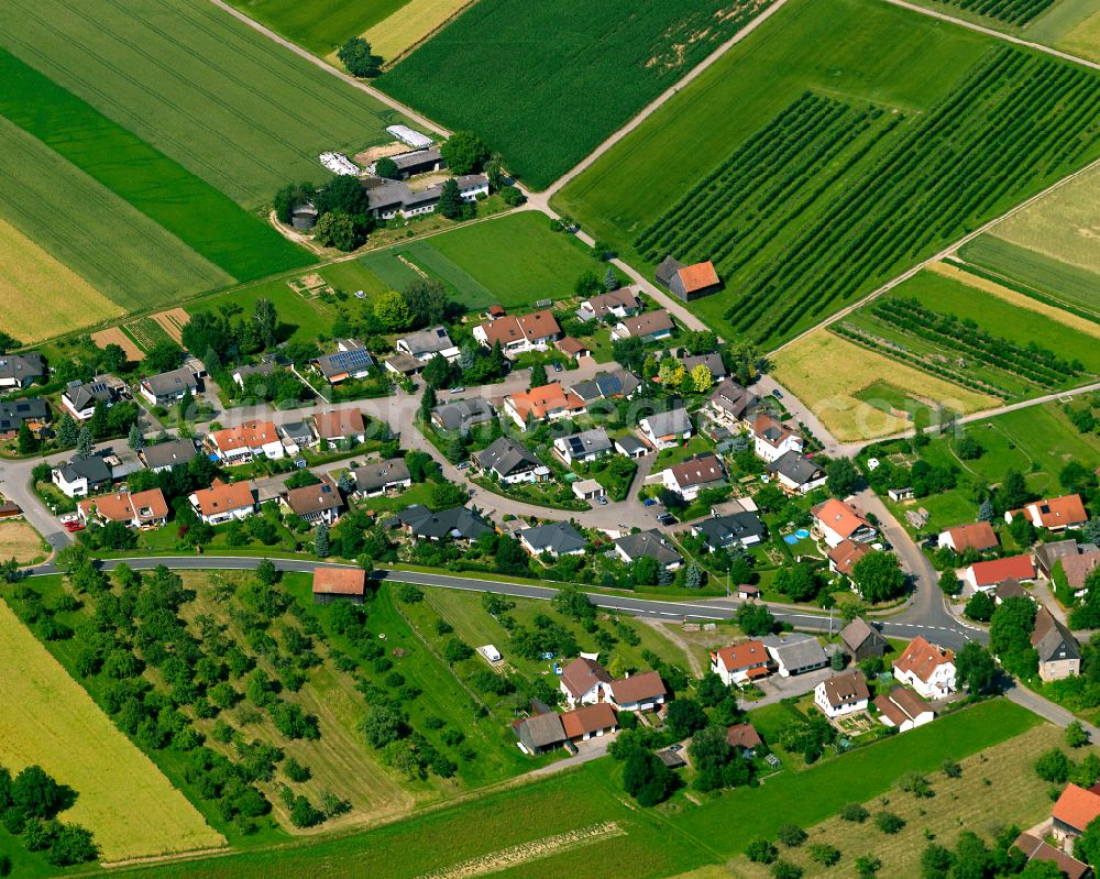 Eyach from the bird's eye view: Agricultural land and field boundaries surround the settlement area of the village in Eyach in the state Baden-Wuerttemberg, Germany