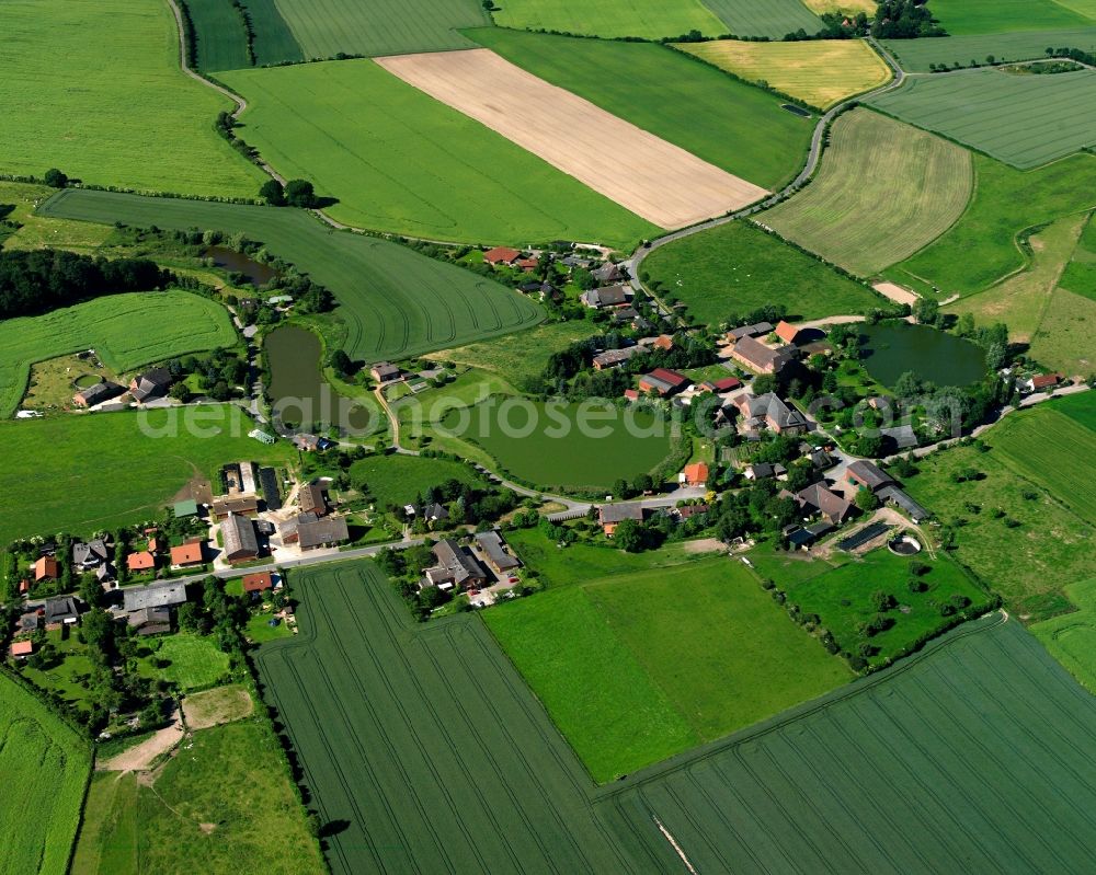 Aerial image Farchauer Mühle - Agricultural land and field boundaries surround the settlement area of the village in Farchauer Mühle in the state Schleswig-Holstein, Germany