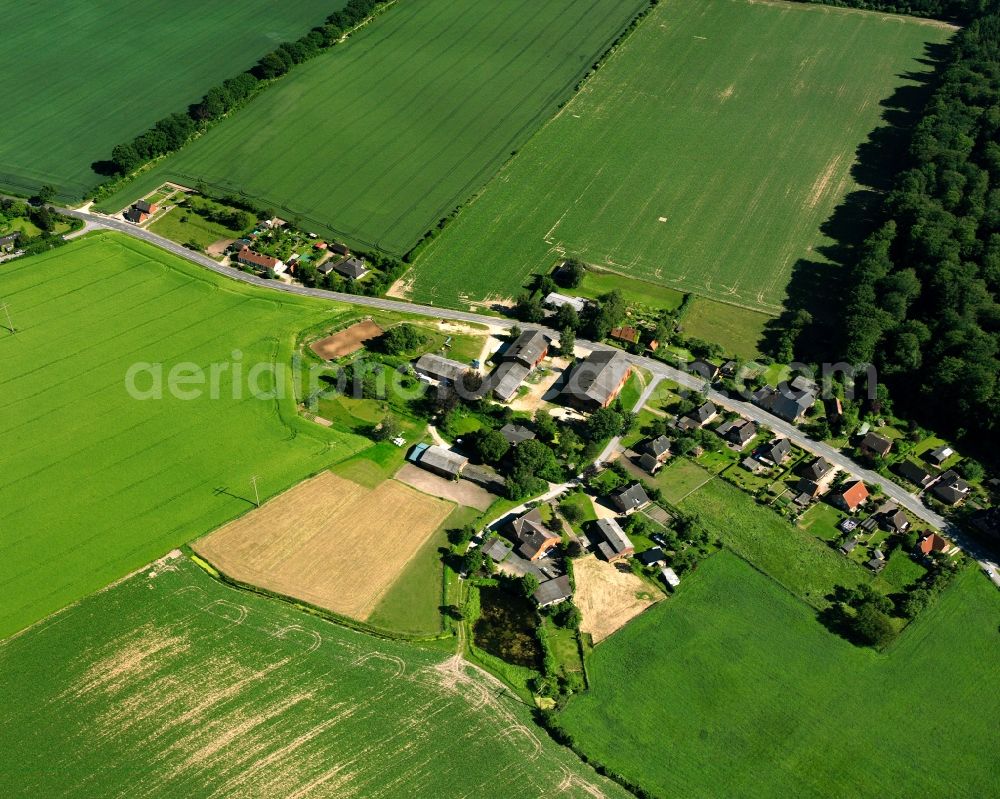 Aerial photograph Farchauer Mühle - Agricultural land and field boundaries surround the settlement area of the village in Farchauer Mühle in the state Schleswig-Holstein, Germany