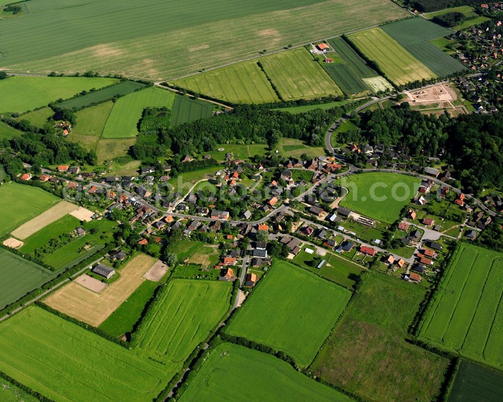 Aerial image Farchauer Mühle - Agricultural land and field boundaries surround the settlement area of the village in Farchauer Mühle in the state Schleswig-Holstein, Germany