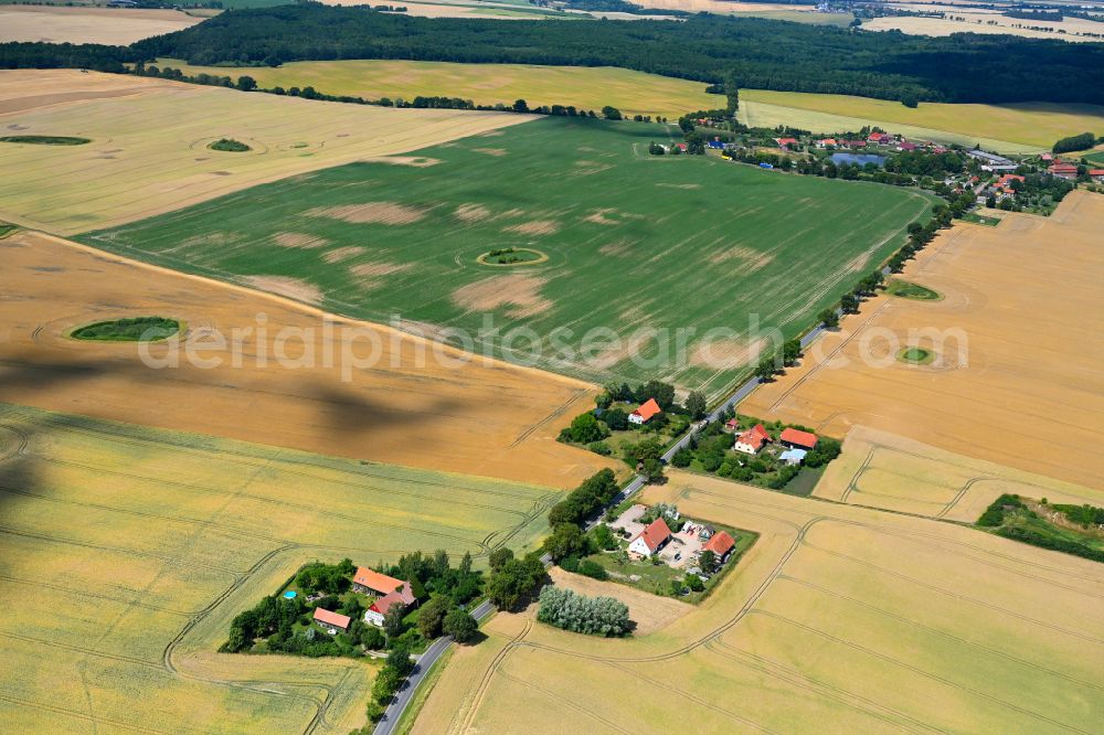 Aerial photograph Faulenrost - Agricultural land and field boundaries surround the settlement area of the village in Faulenrost in the state Mecklenburg - Western Pomerania, Germany