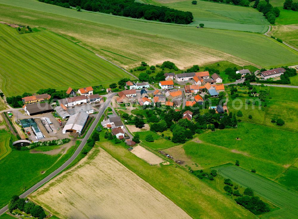 Aerial photograph Felsbergerhof - Agricultural land and field boundaries surround the settlement area of the village in Felsbergerhof in the state Rhineland-Palatinate, Germany