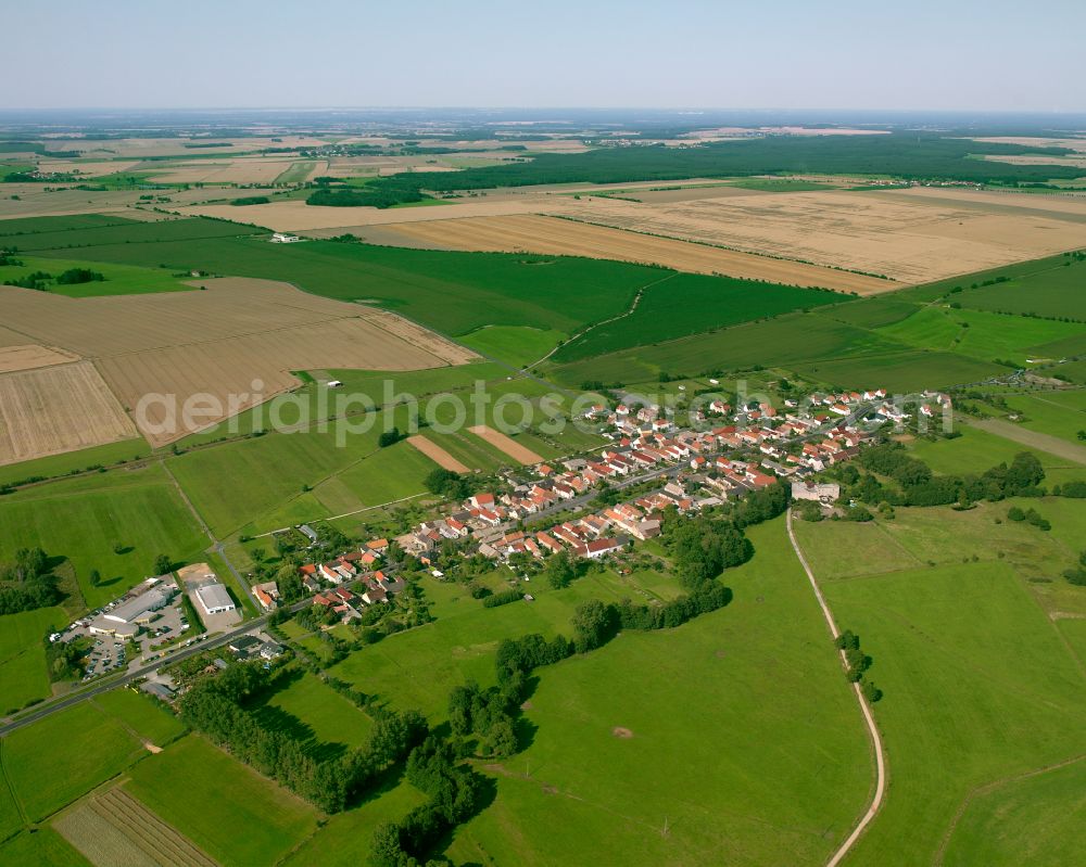 Aerial image Folbern - Agricultural land and field boundaries surround the settlement area of the village in Folbern in the state Saxony, Germany