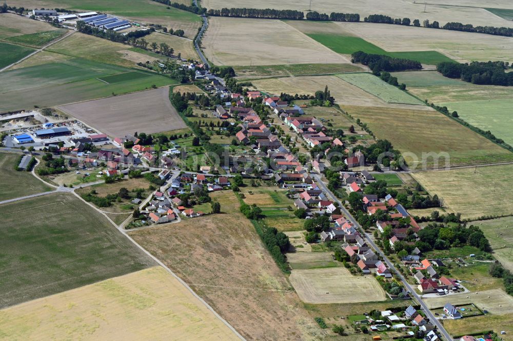 Frankenfelde from the bird's eye view: Agricultural land and field boundaries surround the settlement area of the village on street Dorfstrasse in Frankenfelde in the state Brandenburg, Germany