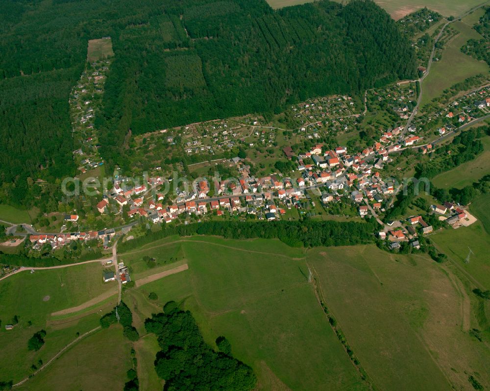 Aerial photograph Frankenthal - Agricultural land and field boundaries surround the settlement area of the village in Frankenthal in the state Thuringia, Germany