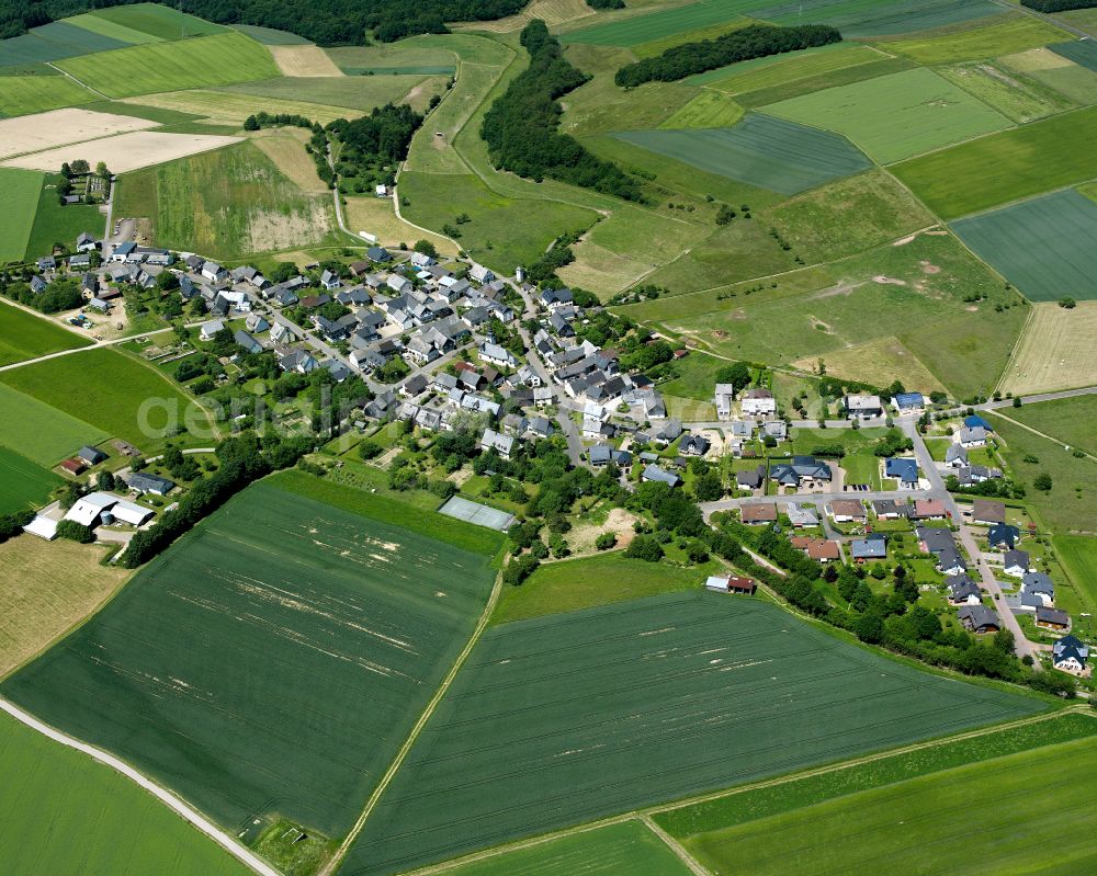 Aerial image Frankweiler - Agricultural land and field boundaries surround the settlement area of the village in Frankweiler in the state Rhineland-Palatinate, Germany