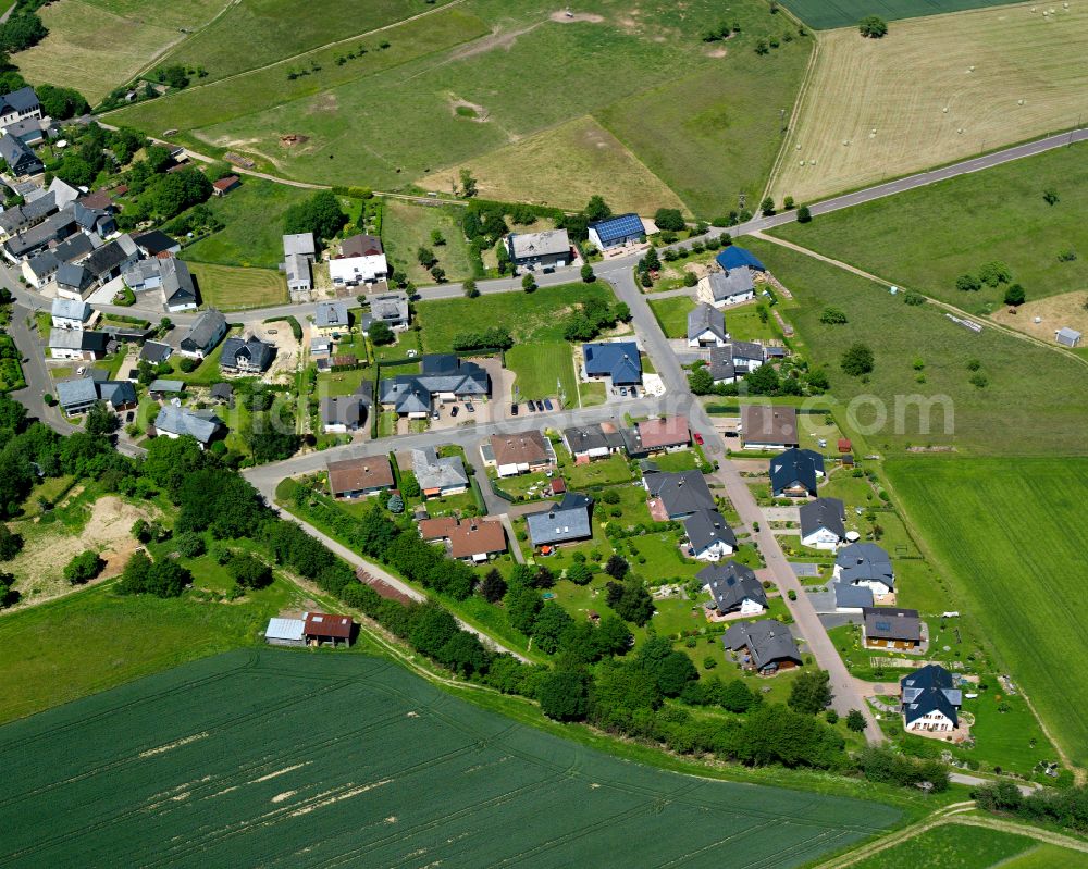 Aerial photograph Frankweiler - Agricultural land and field boundaries surround the settlement area of the village in Frankweiler in the state Rhineland-Palatinate, Germany