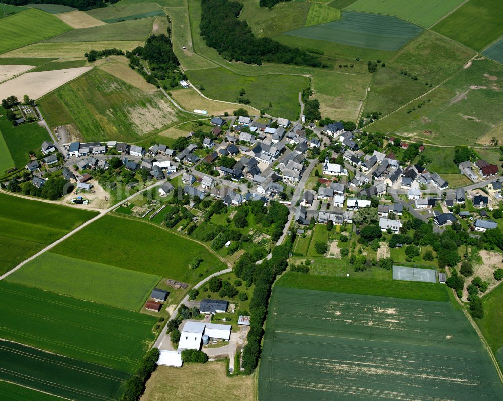 Frankweiler from above - Agricultural land and field boundaries surround the settlement area of the village in Frankweiler in the state Rhineland-Palatinate, Germany