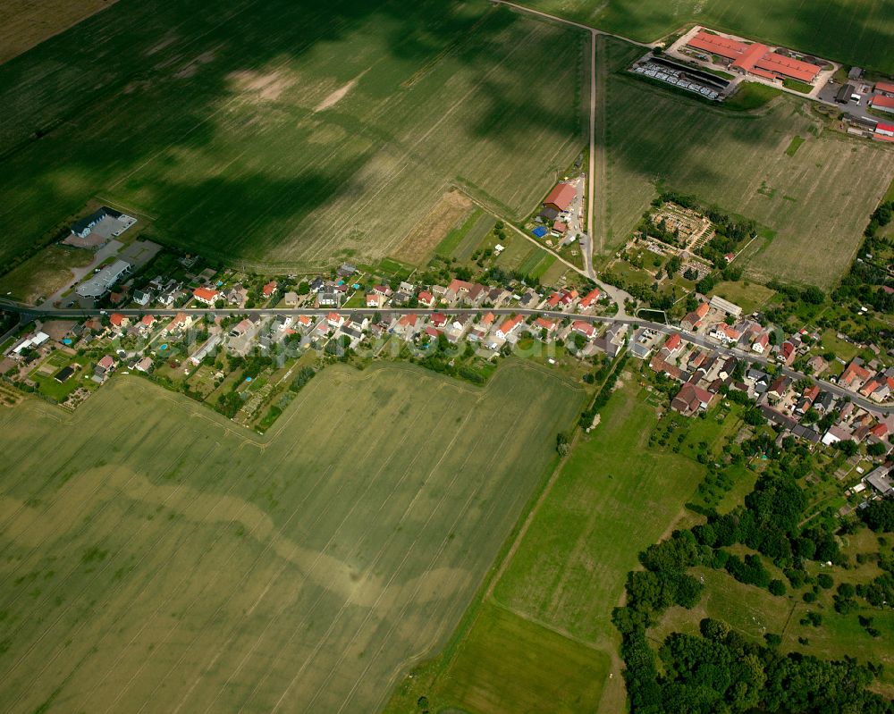 Frauenhain from above - Agricultural land and field boundaries surround the settlement area of the village in Frauenhain in the state Saxony, Germany