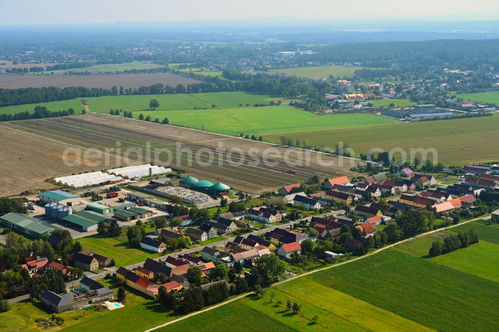 Frauwalde from the bird's eye view: Agricultural land and field boundaries surround the settlement area of the village in Frauwalde in the state Brandenburg, Germany