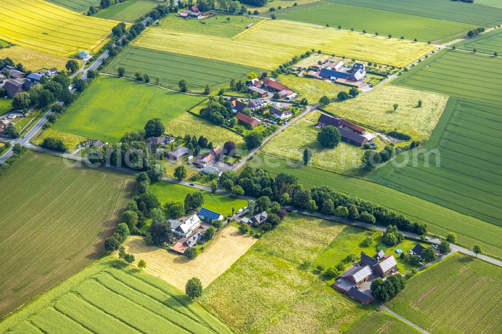 Freiske from the bird's eye view: Agricultural land and field boundaries surround the settlement area of the village in Freiske in the state North Rhine-Westphalia, Germany