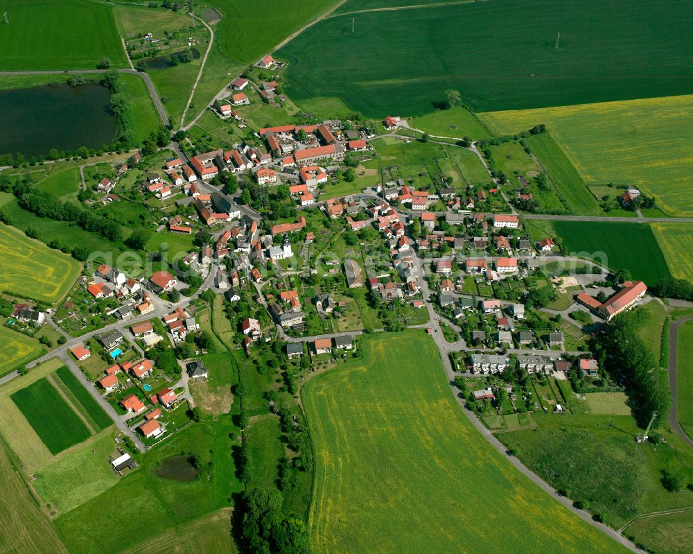 Aerial photograph Frießnitz - Agricultural land and field boundaries surround the settlement area of the village in Frießnitz in the state Thuringia, Germany