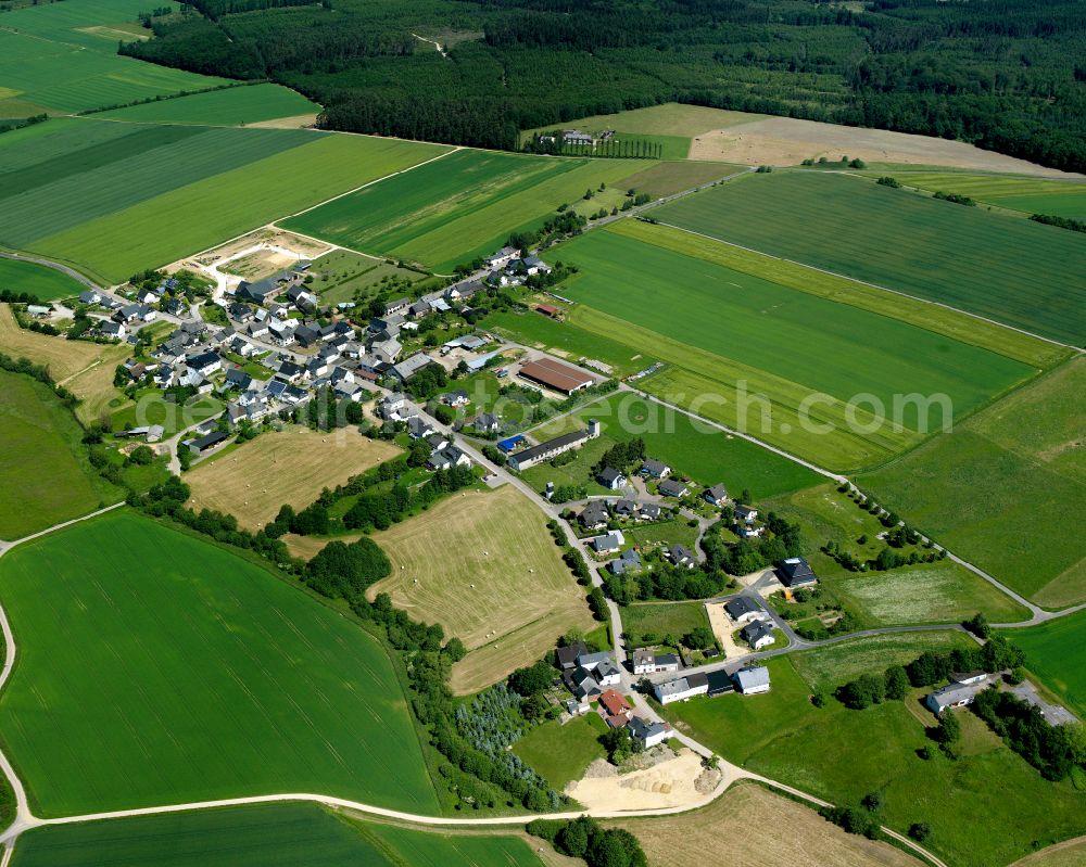 Fronhofen from the bird's eye view: Agricultural land and field boundaries surround the settlement area of the village in Fronhofen in the state Rhineland-Palatinate, Germany