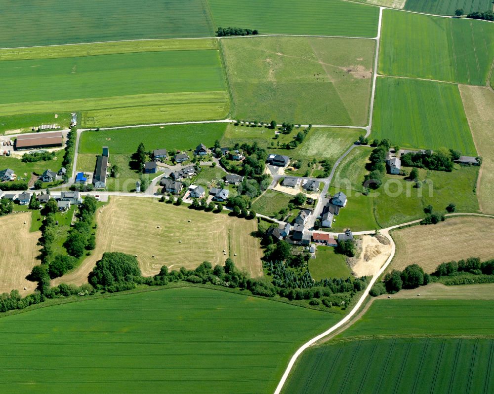 Aerial image Fronhofen - Agricultural land and field boundaries surround the settlement area of the village in Fronhofen in the state Rhineland-Palatinate, Germany