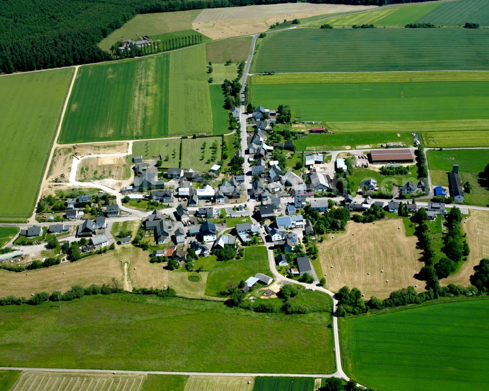 Aerial photograph Fronhofen - Agricultural land and field boundaries surround the settlement area of the village in Fronhofen in the state Rhineland-Palatinate, Germany