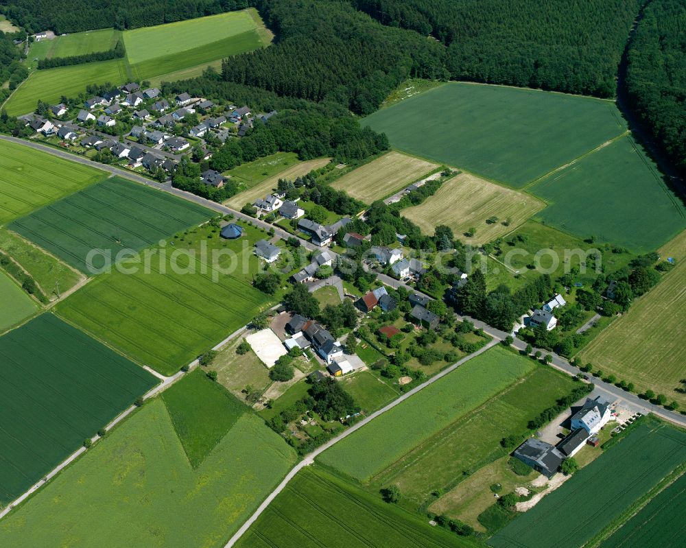 Gammelshausen from above - Agricultural land and field boundaries surround the settlement area of the village in Gammelshausen in the state Rhineland-Palatinate, Germany