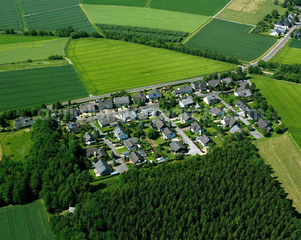 Gammelshausen from the bird's eye view: Agricultural land and field boundaries surround the settlement area of the village in Gammelshausen in the state Rhineland-Palatinate, Germany