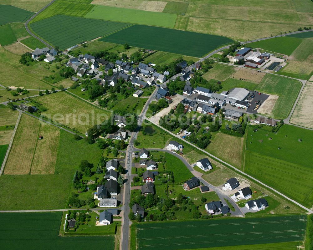 Aerial photograph Gammelshausen - Agricultural land and field boundaries surround the settlement area of the village in Gammelshausen in the state Rhineland-Palatinate, Germany