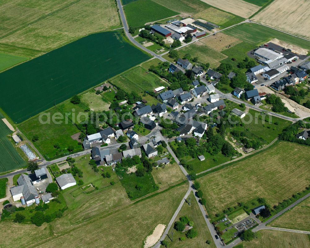 Gammelshausen from the bird's eye view: Agricultural land and field boundaries surround the settlement area of the village in Gammelshausen in the state Rhineland-Palatinate, Germany