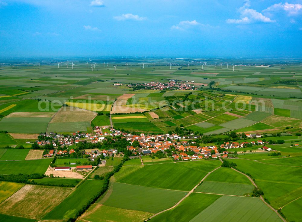 Aerial photograph Gauersheim - Agricultural land and field boundaries surround the settlement area of the village in Gauersheim in the state Rhineland-Palatinate, Germany