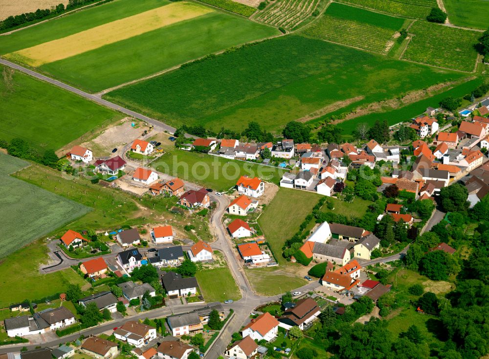 Gauersheim from the bird's eye view: Agricultural land and field boundaries surround the settlement area of the village in Gauersheim in the state Rhineland-Palatinate, Germany