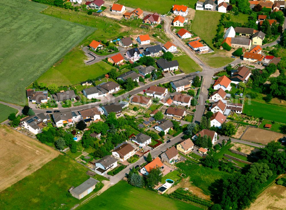 Aerial image Gauersheim - Agricultural land and field boundaries surround the settlement area of the village in Gauersheim in the state Rhineland-Palatinate, Germany