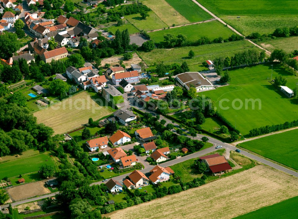 Aerial photograph Gauersheim - Agricultural land and field boundaries surround the settlement area of the village in Gauersheim in the state Rhineland-Palatinate, Germany