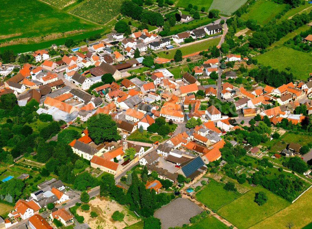 Gauersheim from the bird's eye view: Agricultural land and field boundaries surround the settlement area of the village in Gauersheim in the state Rhineland-Palatinate, Germany