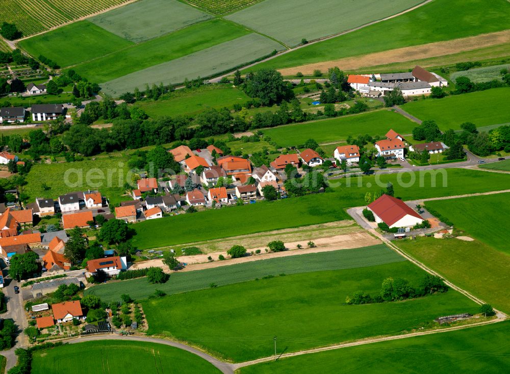 Gauersheim from above - Agricultural land and field boundaries surround the settlement area of the village in Gauersheim in the state Rhineland-Palatinate, Germany