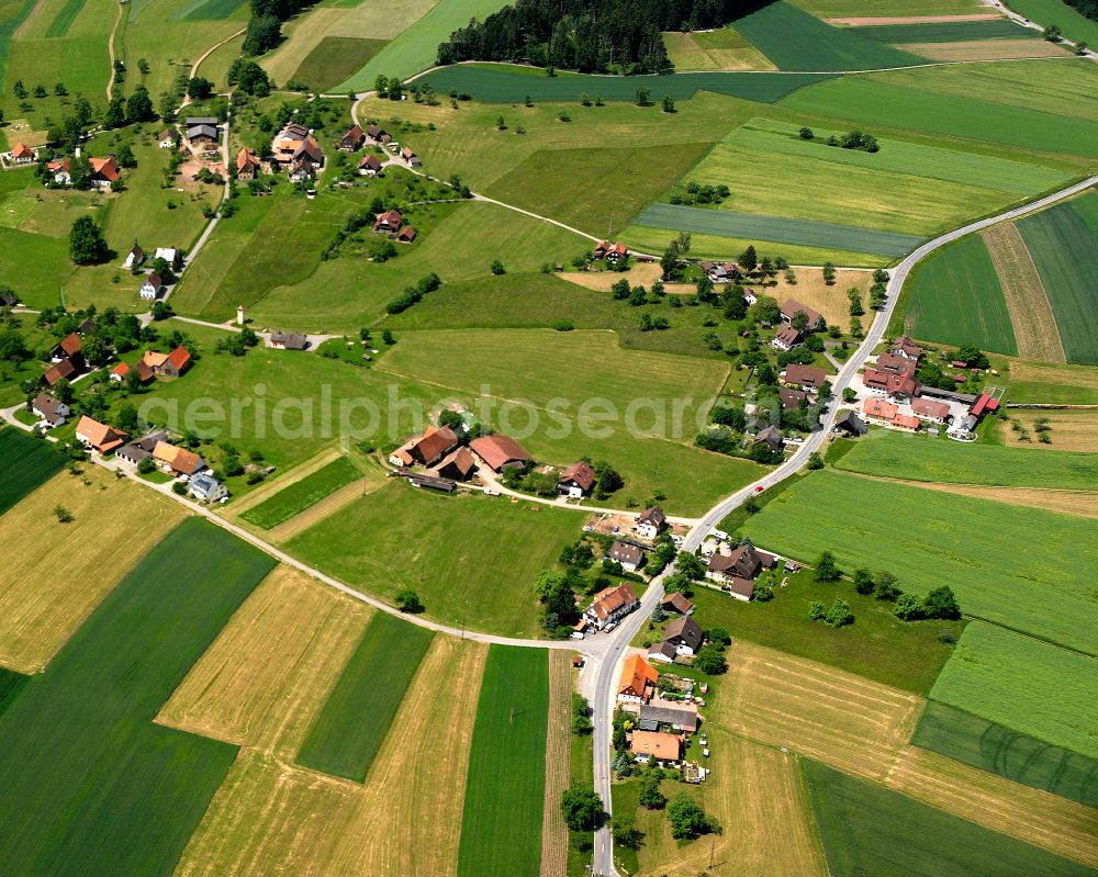 Gaugenwald from the bird's eye view: Agricultural land and field boundaries surround the settlement area of the village in Gaugenwald in the state Baden-Wuerttemberg, Germany