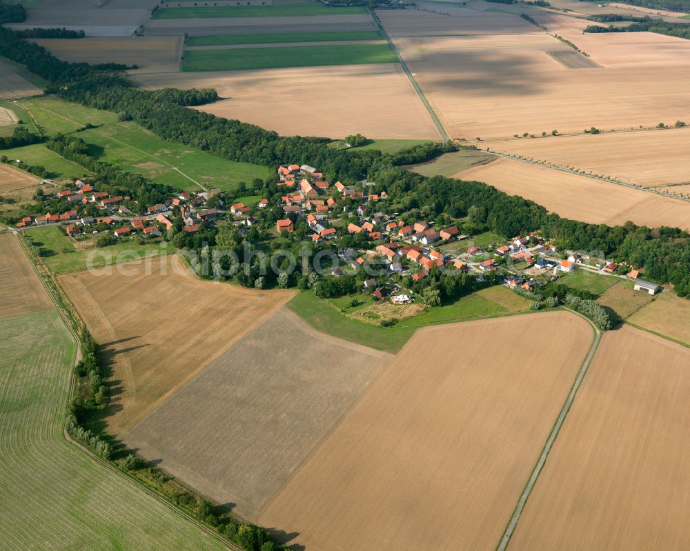 Göddeckenrode from the bird's eye view: Agricultural land and field boundaries surround the settlement area of the village in Göddeckenrode in the state Saxony-Anhalt, Germany