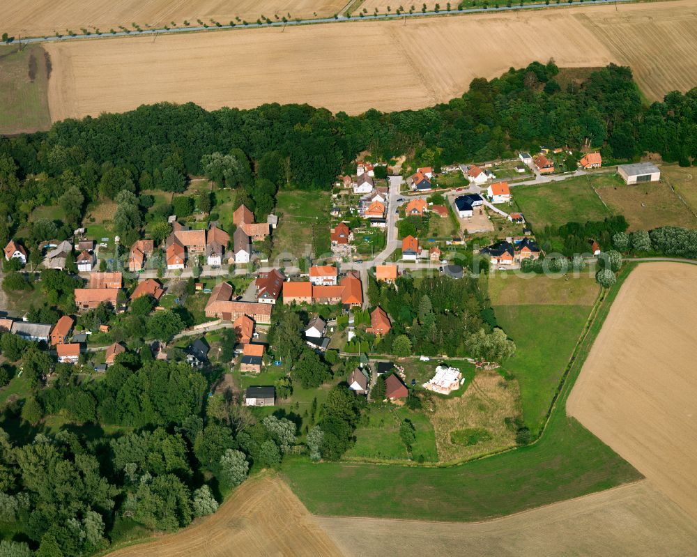 Aerial image Göddeckenrode - Agricultural land and field boundaries surround the settlement area of the village in Göddeckenrode in the state Saxony-Anhalt, Germany