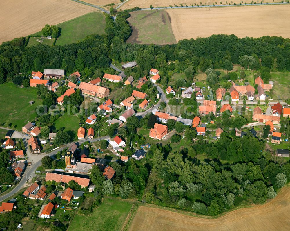 Aerial photograph Göddeckenrode - Agricultural land and field boundaries surround the settlement area of the village in Göddeckenrode in the state Saxony-Anhalt, Germany