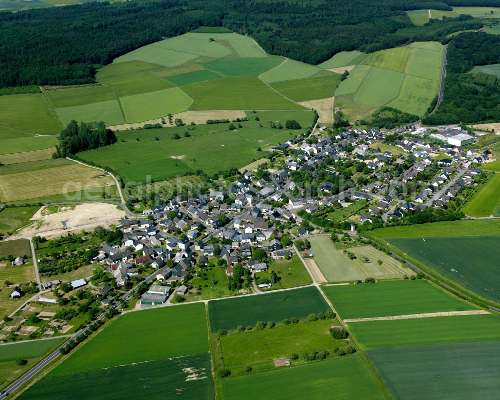 Gödenroth from above - Agricultural land and field boundaries surround the settlement area of the village in Gödenroth in the state Rhineland-Palatinate, Germany