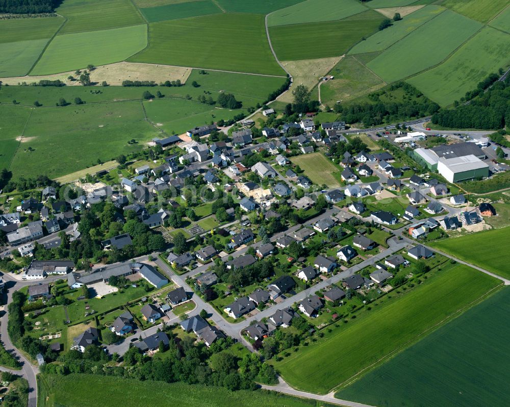 Aerial photograph Gödenroth - Agricultural land and field boundaries surround the settlement area of the village in Gödenroth in the state Rhineland-Palatinate, Germany