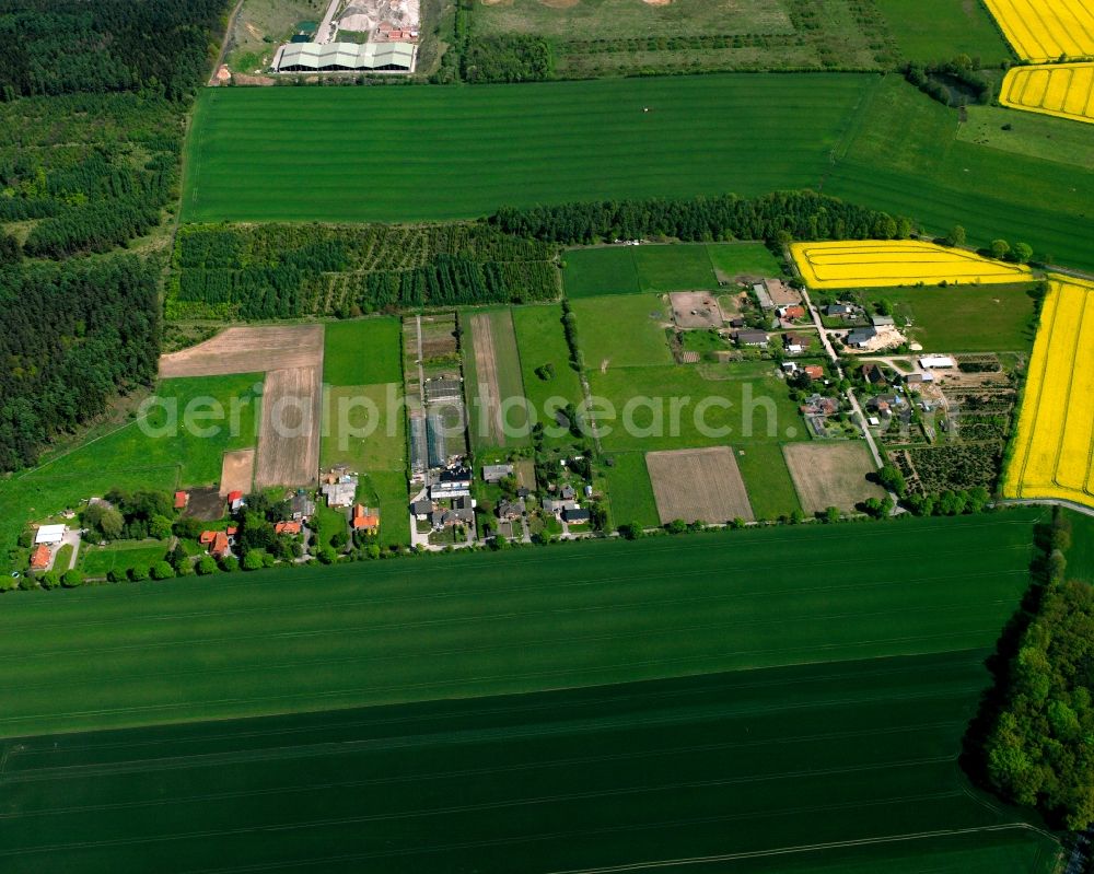 Aerial photograph Geesthacht - Agricultural land and field boundaries surround the settlement area of the village in Geesthacht in the state Schleswig-Holstein, Germany