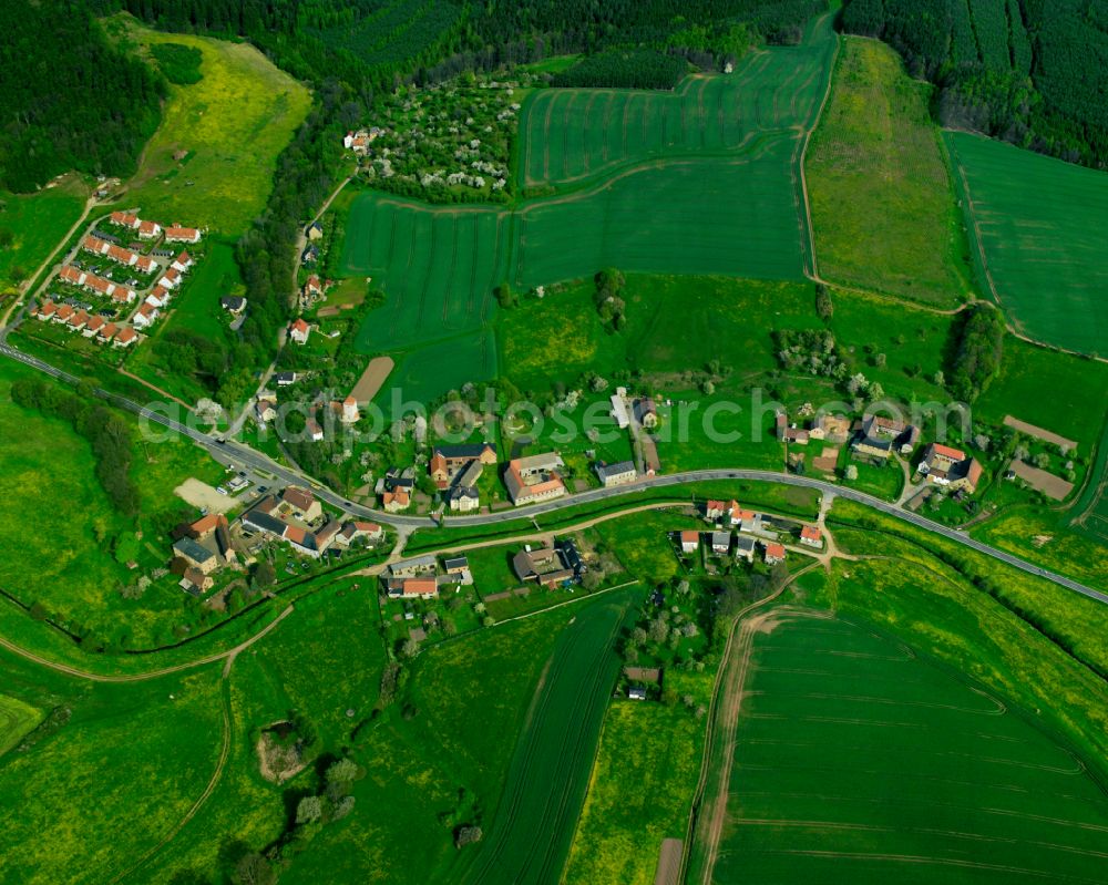 Aerial image Geißen - Agricultural land and field boundaries surround the settlement area of the village in Geißen in the state Thuringia, Germany