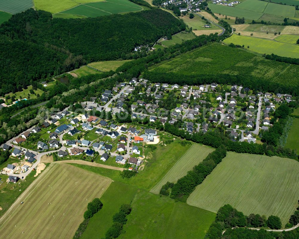 Aerial photograph Gemünden - Agricultural land and field boundaries surround the settlement area of the village in Gemünden in the state Rhineland-Palatinate, Germany