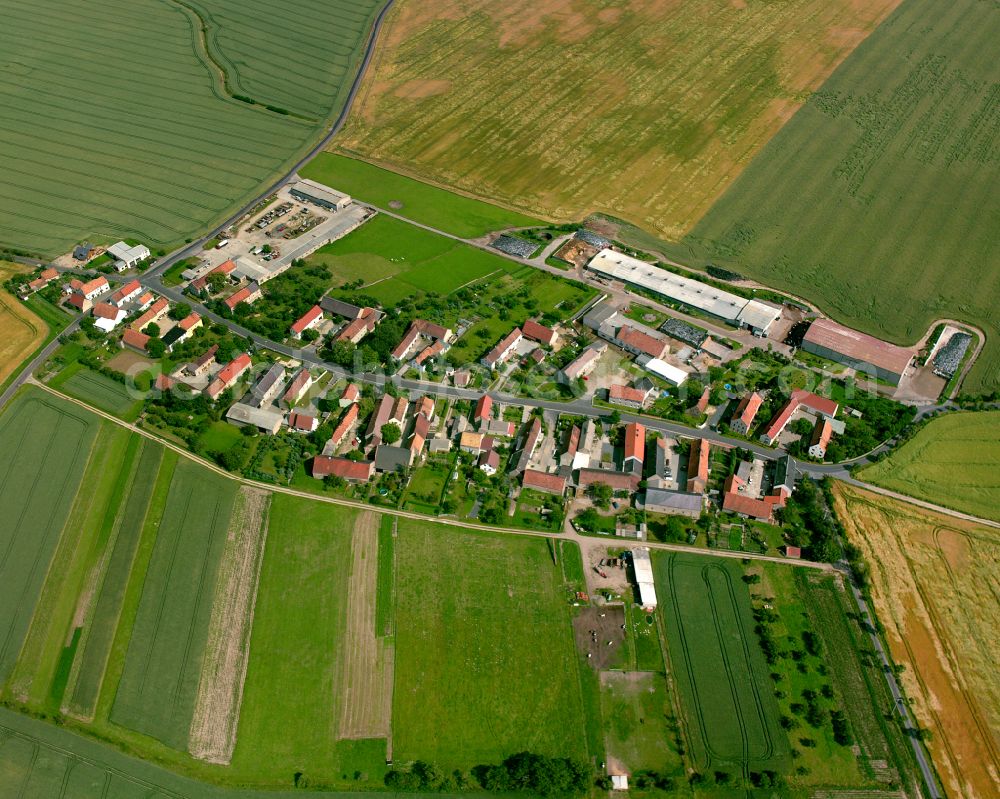 Aerial photograph Göhra - Agricultural land and field boundaries surround the settlement area of the village in Göhra in the state Saxony, Germany