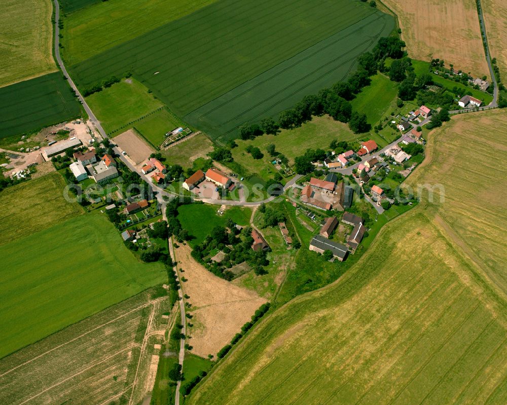 Gleina from above - Agricultural land and field boundaries surround the settlement area of the village in Gleina in the state Saxony, Germany