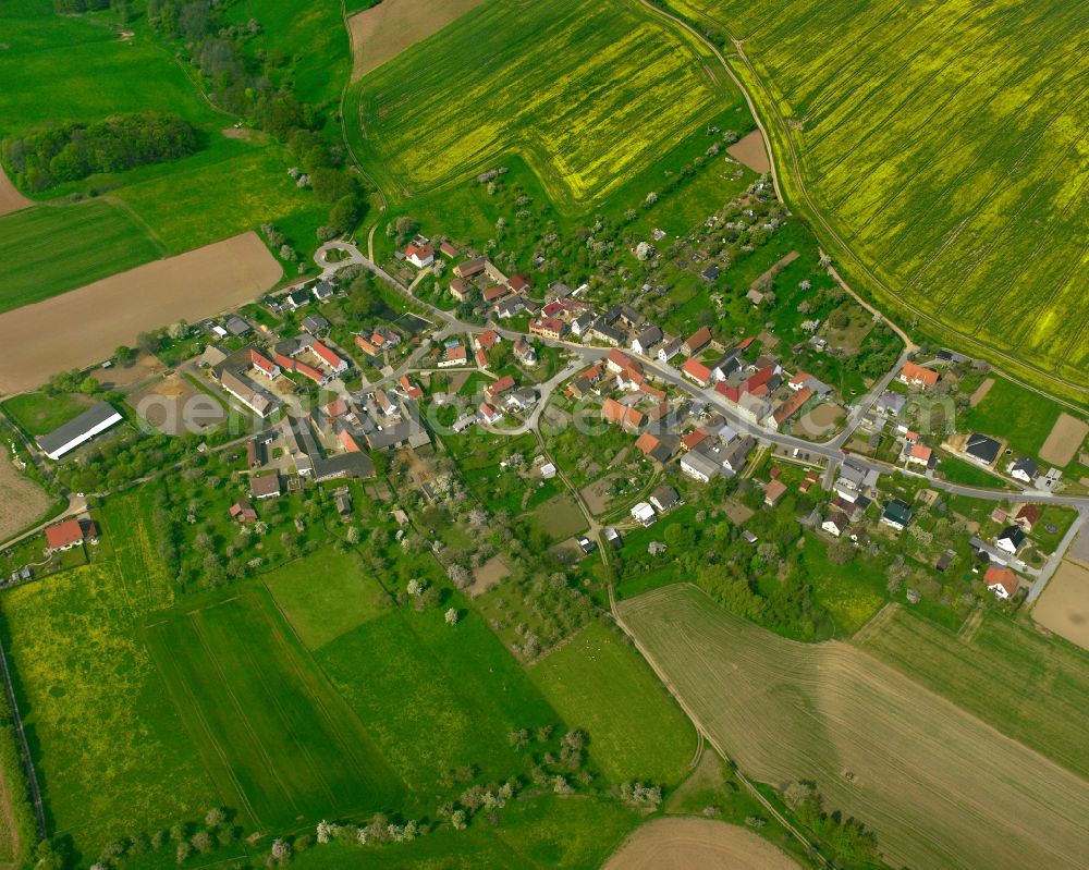 Aerial photograph Gleina - Agricultural land and field boundaries surround the settlement area of the village in Gleina in the state Thuringia, Germany