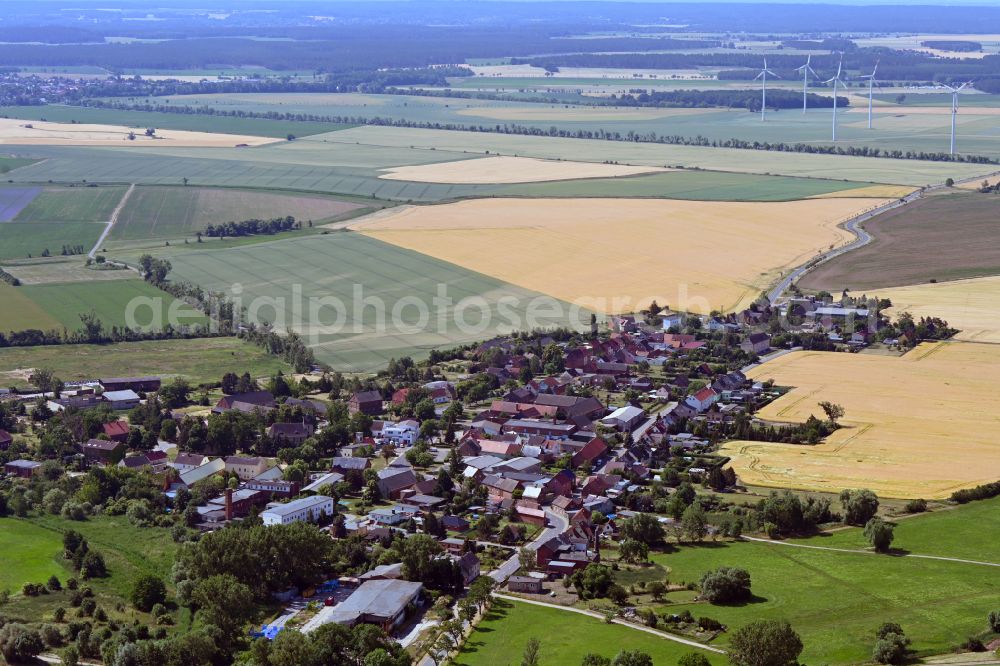 Aerial photograph Globig - Agricultural land and field boundaries surround the settlement area of the village in Globig in the state Saxony-Anhalt, Germany