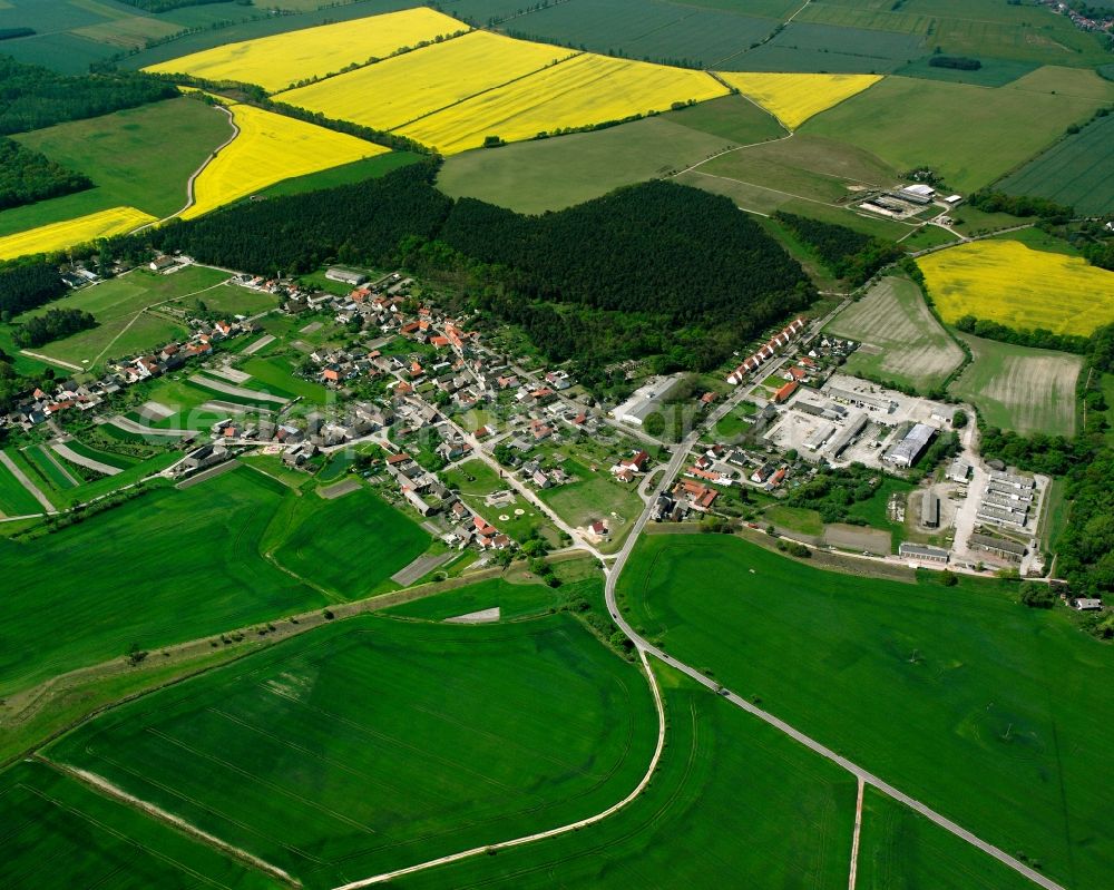 Gohrau from above - Agricultural land and field boundaries surround the settlement area of the village in Gohrau in the state Saxony-Anhalt, Germany