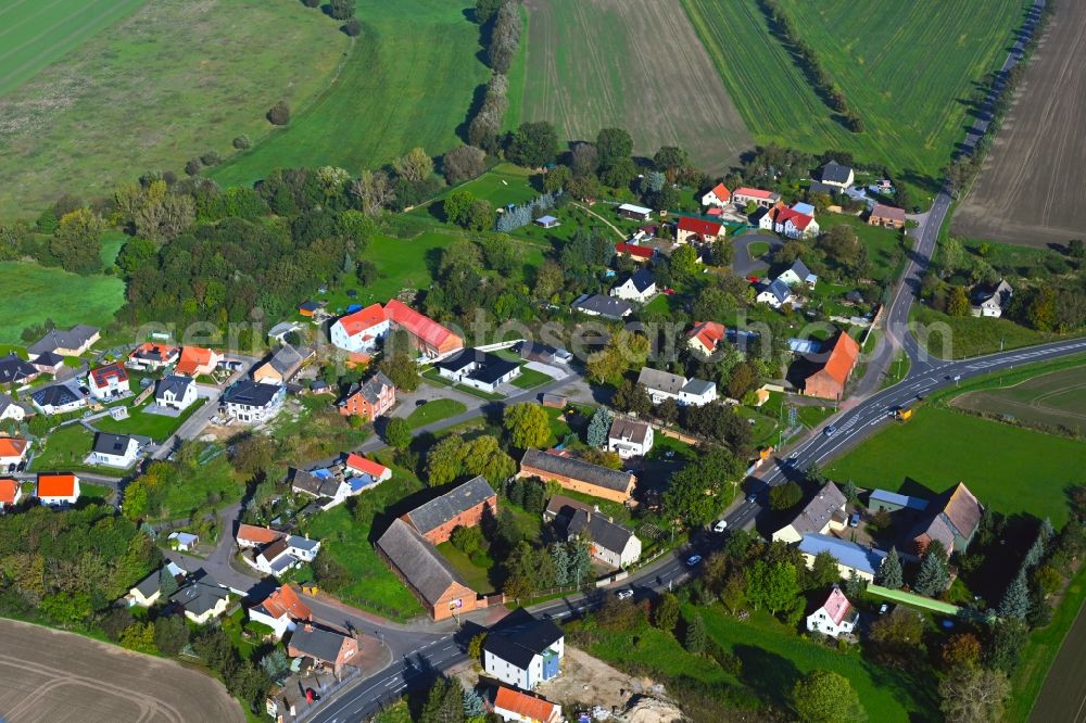 Gollmenz from above - Agricultural land and field boundaries surround the settlement area of the village in Gollmenz in the state Saxony, Germany