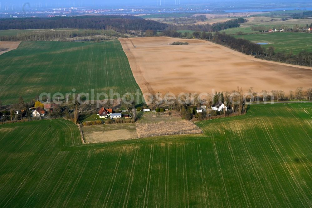 Gollmitz from the bird's eye view: Agricultural land and field boundaries surround the settlement area of the village in Gollmitz in the state Brandenburg, Germany