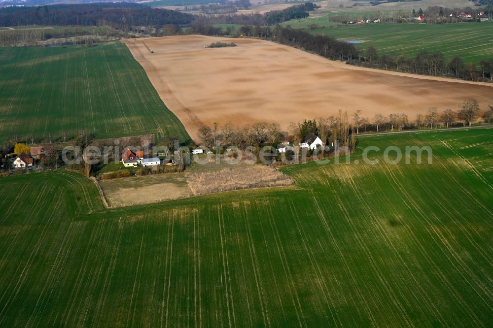 Aerial image Gollmitz - Agricultural land and field boundaries surround the settlement area of the village in Gollmitz in the state Brandenburg, Germany