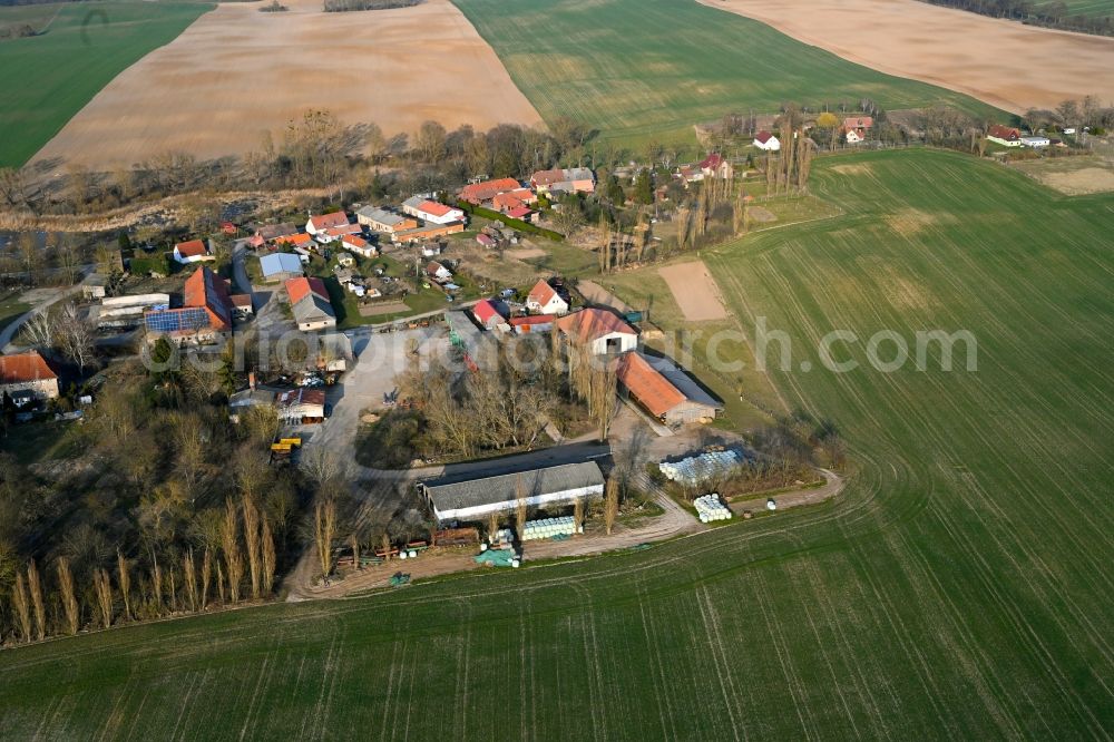 Aerial photograph Gollmitz - Agricultural land and field boundaries surround the settlement area of the village in Gollmitz in the state Brandenburg, Germany