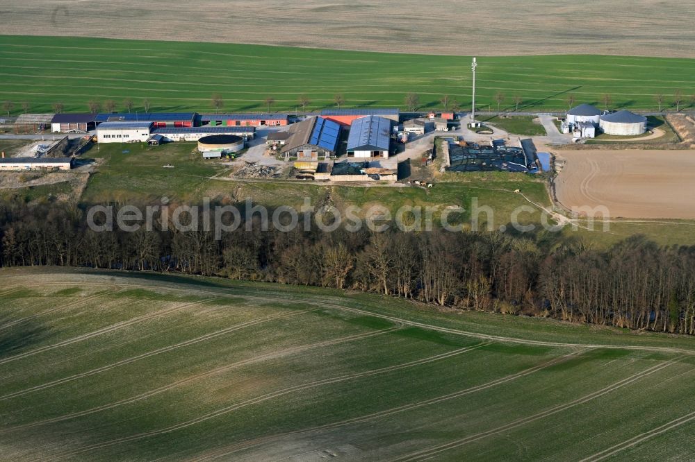 Aerial photograph Gollmitz - Agricultural land and field boundaries surround the settlement area of the village in Gollmitz in the state Brandenburg, Germany