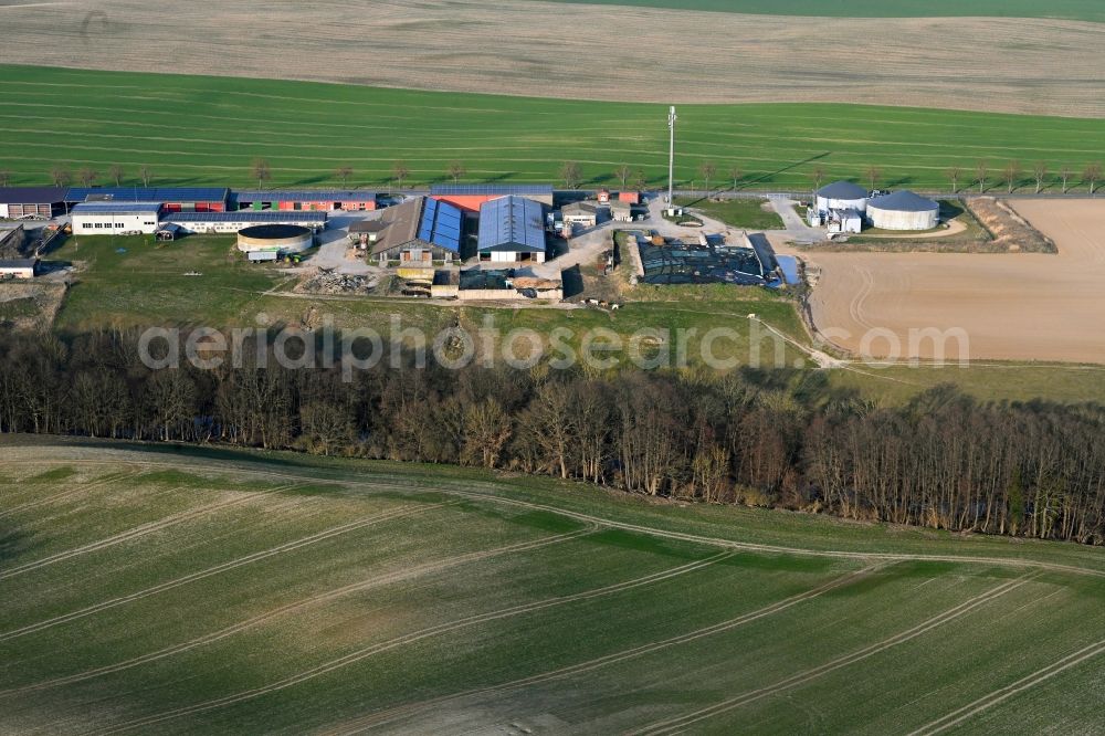 Gollmitz from above - Agricultural land and field boundaries surround the settlement area of the village in Gollmitz in the state Brandenburg, Germany