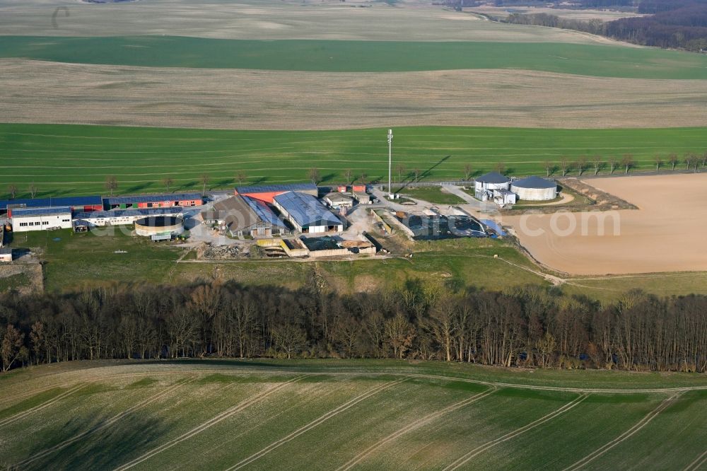 Gollmitz from the bird's eye view: Agricultural land and field boundaries surround the settlement area of the village in Gollmitz in the state Brandenburg, Germany